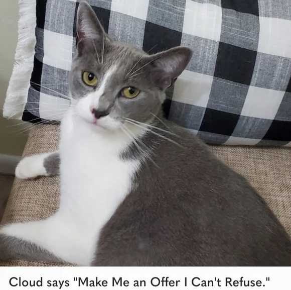 JH Collectibles Red Linen Blend Maxi dress, Size 10 - Picture 6 of 6